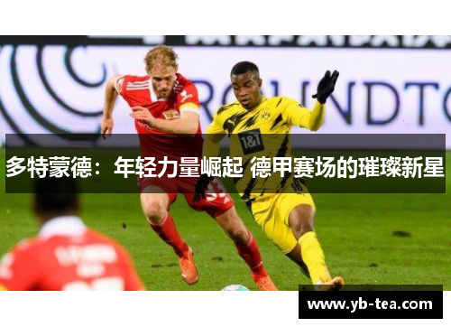 多特蒙德：年轻力量崛起 德甲赛场的璀璨新星