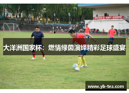 大洋洲国家杯：燃情绿茵演绎精彩足球盛宴