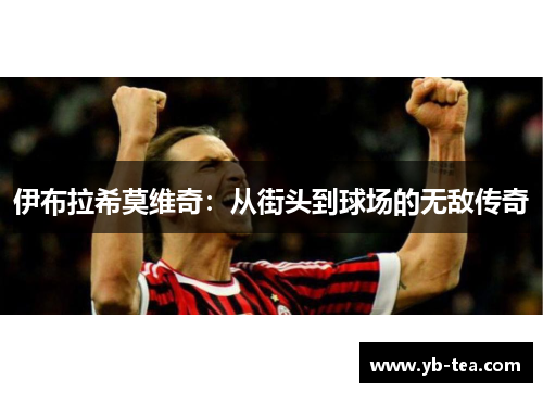 伊布拉希莫维奇：从街头到球场的无敌传奇