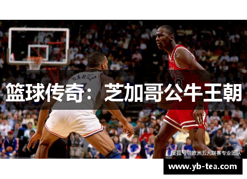 篮球传奇：芝加哥公牛王朝