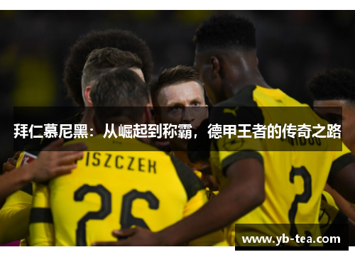 拜仁慕尼黑：从崛起到称霸，德甲王者的传奇之路