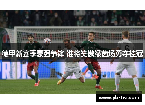 德甲新赛季豪强争锋 谁将笑傲绿茵场勇夺桂冠